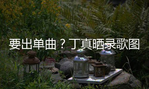 文单曲丁的歌高兴真晒录歌录了图发要出一首